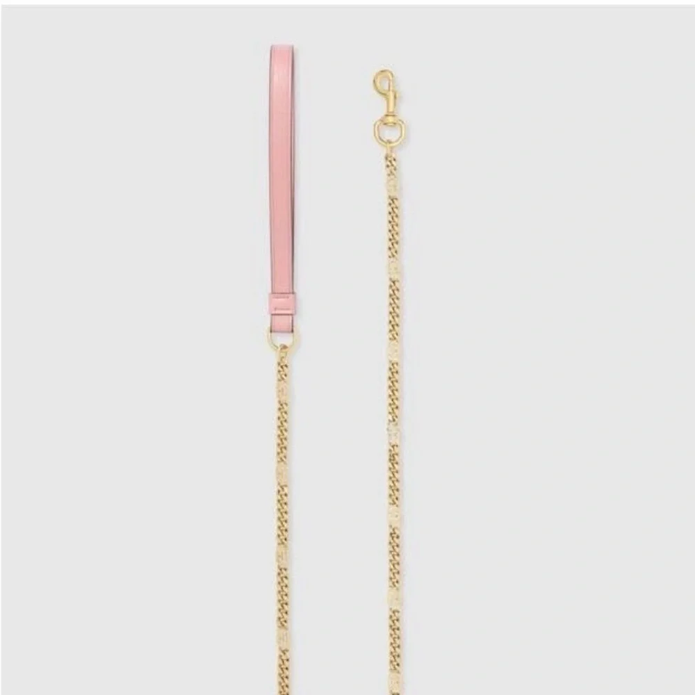 New Gucci dog leash/harness
